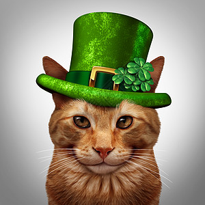 帕特里克节猫个趣的快乐微笑猫宠物戴着雷普川绿色帽子与三叶草四叶草装饰3月17日节日庆祝标志图片