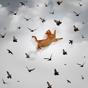 抓住机会的,只跳跃的猫天空中跳高,捕捉飞鸟,种商业技能,比喻为利用利的市场条件好准备图片