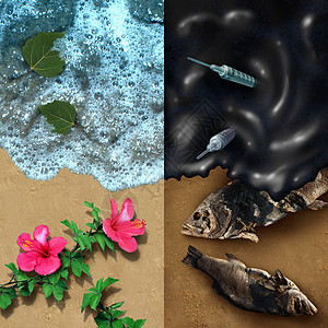环境与个干净的海滩与自然植物黑暗的比与石油泄漏灾难与死鱼医疗废物污染与三维插图元素图片