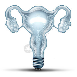 女生育解决方案女生殖符号人类子宫与输卵管卵巢形状为灯泡医学思想隐喻与三维插图元素图片