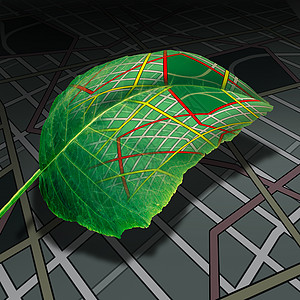 生态运输绿色能源运输驾驶片叶子,通用的路线图纹理,个干净的自然燃料源隐喻三维插图风格图片