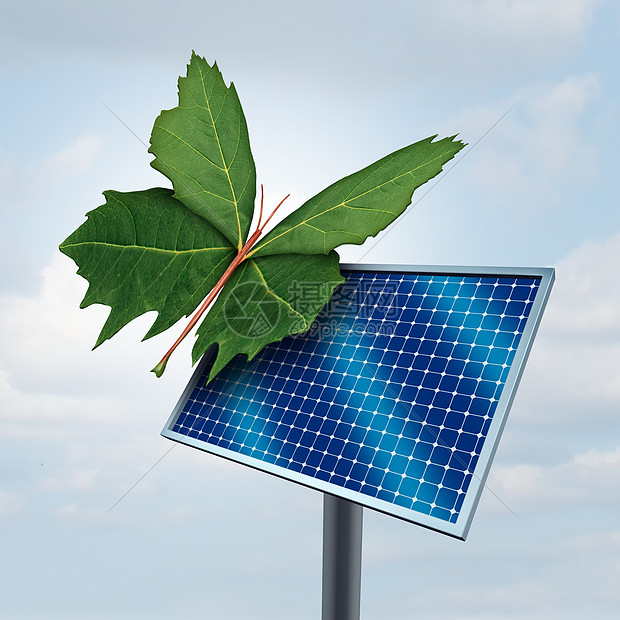 太阳能可再生清洁太阳能象征,片绿叶,形状像蝴蝶,停太阳能电池片上,环境生态友好的可持续燃料源的隐喻,三图片
