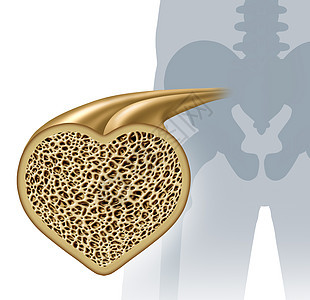 骨健康骨穿骨预防种健康的解剖,心脏形状个强大的正常海绵,个人的骨骼结构,个图标骨科骨科与三维插图片