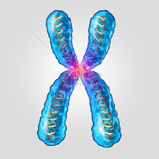 染色体遗传DNA种微观分子,双螺旋基因结构,微生物学医学符号,用于遗传进化突变,三维插图图片