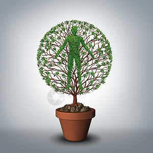 生命之树象征着种植物,生长个花盆中,它被塑造成个人类,种健康生活方式的医学医学象征,三维插图元素的永恒生活背景图片