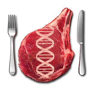 基因肉类基因符号牛排与DNA链形状的肉基因工程隐喻食品科学与三维插图元素图片