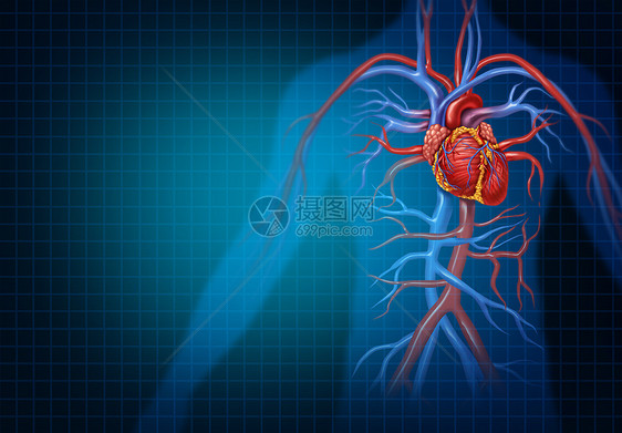 心脏病学心血管心脏人类血液循环健康医学符号,代表个健康的循环心脏器官与静脉动脉三维插图风格图片