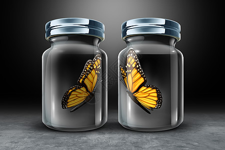 沟通障碍物理障碍两只蝴蝶分开的封闭璃个罐子三维插图图片