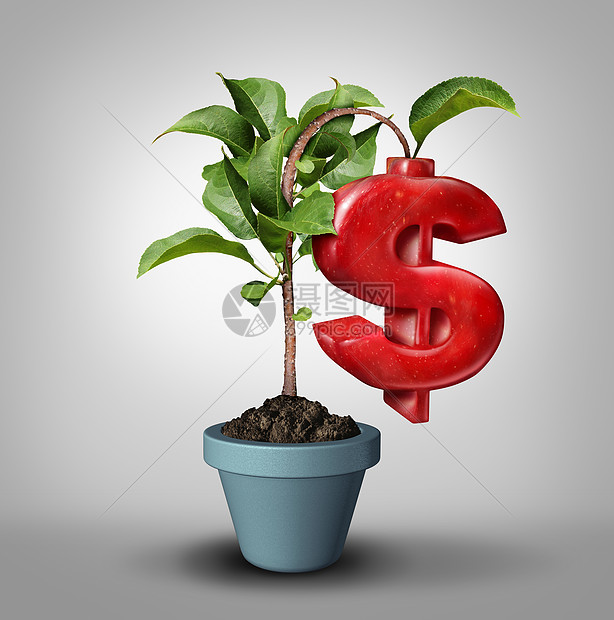 货币树富成效的投资商业金融棵树种植个苹果形状个货币符号个利可图的