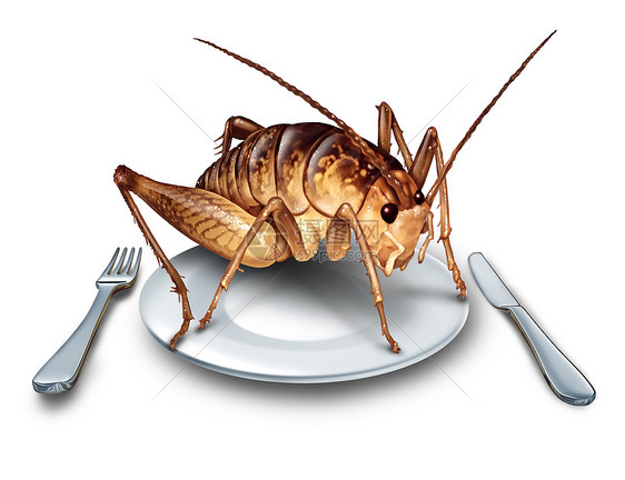 吃虫子吃昆虫异国美食替代高蛋白营养食品板球昆虫个盘子与刀叉子个符号的昆虫与三维插图元素图片