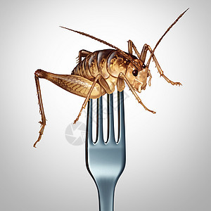 吃昆虫吃虫子异国美食替代高营养食品叉子板球昆虫个符号的昆虫与三维插图元素图片