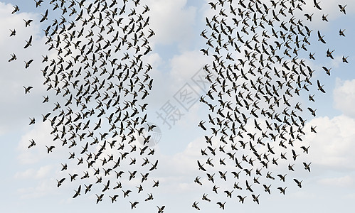 分裂的意见社会分裂分裂的人群思维两鸟类个三维插图风格的奥波西特方向飞行图片