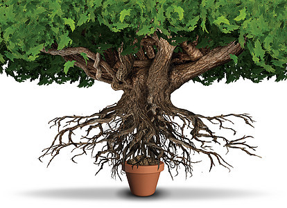 限资源商业经济巨大的树木根,试图个小的植物盆栽中获得养分,个三维插图元素的稀缺隐喻图片