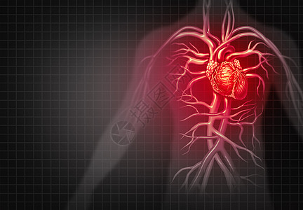 心脏病发作胸痛医学心血管疾病种疾病的人体循环器官三维插图风格图片