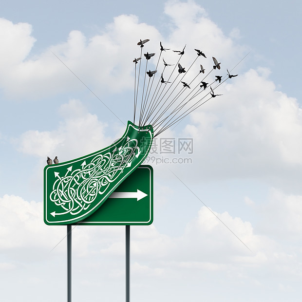 商业方式群鸟举个混乱的方向标志,揭示个清晰的直箭头解决方案路径隐喻与三维插图元素图片
