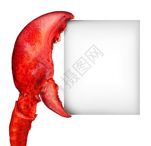 龙虾爪空白标志,手持卡片横幅,新鲜海鲜信息贝类食品,红色贝壳甲壳动物隔离白色背景上图片