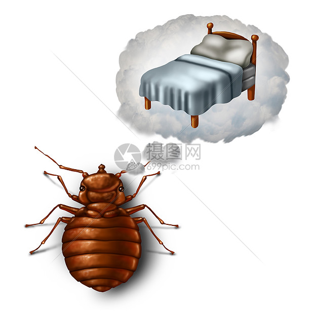 床虫梦噩梦臭虫担心的种寄生害虫 梦中想象个枕头床单 个象征 并隐喻睡眠健康卫生的三维插图风格高清图片下载 正版图片 摄图网