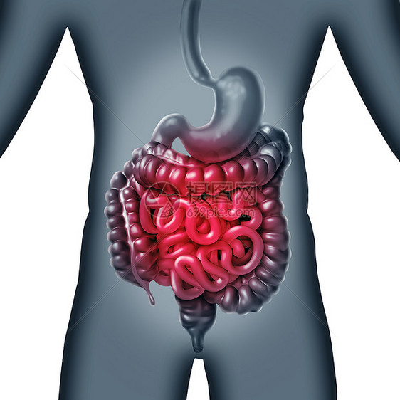 肠肠疼痛胃内消化炎症问题消化适便秘感染A3D插图图片
