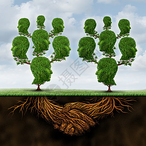 小协议队合作联盟联合,两家庭树,与地下根握手与三维元素结合背景图片