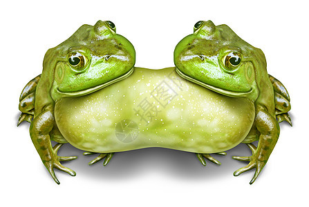 连体双胞胎暹罗双胞胎的象征,因为两只青蛙融合连接,个突变的自然由于环境污染缺陷的三维插图风格图片