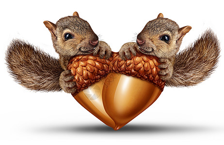 可爱的动物相爱,就像两只可爱的松鼠,连同橡子,颗心,情人节爱的关系符号,三维插图风格图片