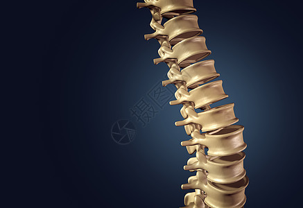 骨骼人类脊柱脊柱椎间盘黑暗背景下医学三维插图图片