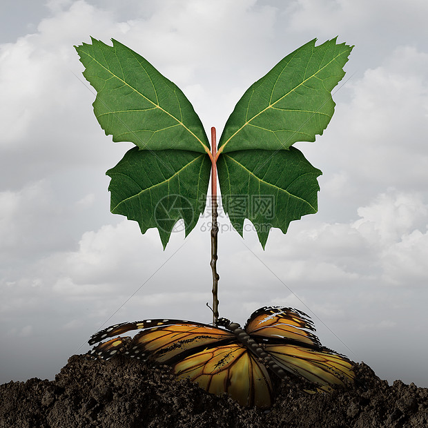 生命更新希望的想法,死亡轮回恢复重生的超现实隐喻三维插图风格生命