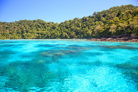 浮潜点与美丽的珊瑚景观苏林公园普吉岛泰国图片