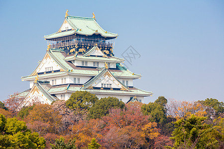 大阪城堡与秋季花园关西日本背景图片