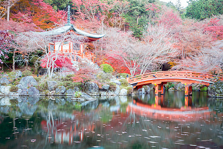 日本京都岱戈寺新贡佛寺背景图片