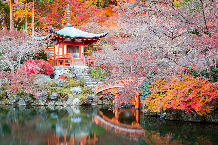 日本京都岱戈寺新贡佛寺图片