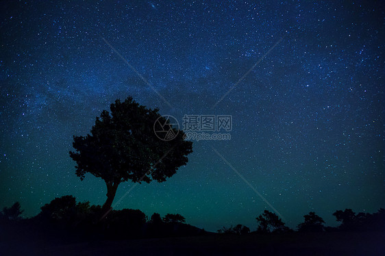 星星的树银河的轮廓图片