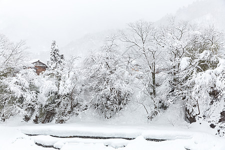 美丽的降雪冬季景观希拉卡瓦戈日本图片