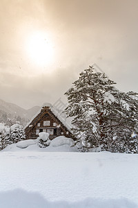 西拉卡瓦戈降雪冬季阳光,日本岐阜楚布图片