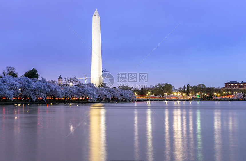 华盛顿纪念碑潮汐盆地黄昏,DC图片