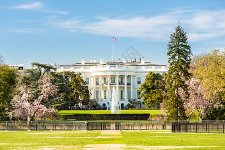 白宫华盛顿特区,美国高清图片