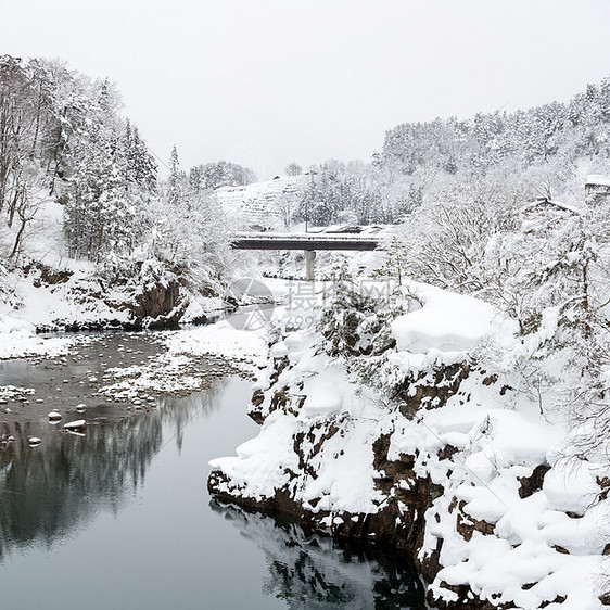 美丽的降雪冬季景观希拉卡瓦戈日本图片