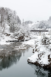 美丽的降雪冬季景观希拉卡瓦戈日本图片