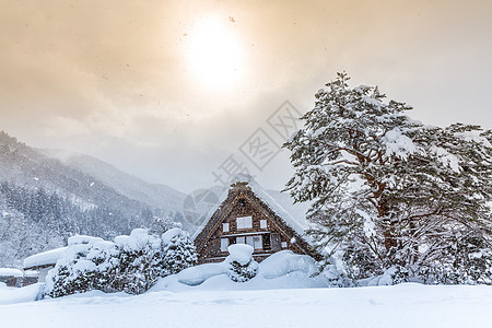 西拉卡瓦戈降雪冬季阳光,日本岐阜楚布背景图片