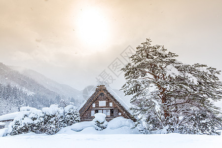 西拉卡瓦戈降雪冬季阳光,日本岐阜楚布图片