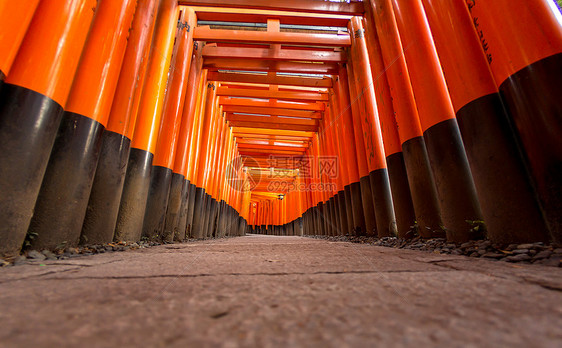 日本京都的FushimiInariTaisha神社,成千上万的朱红桃门图片