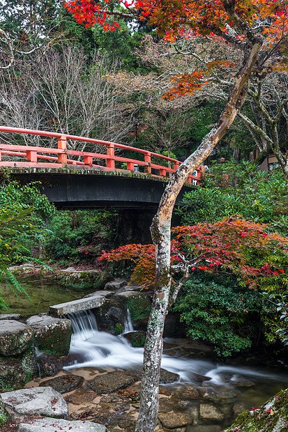 宫岛,广岛,日本莫米吉达尼公园图片