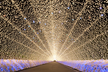 名古屋,日本纳巴纳冬天的夜晚没萨托花园图片