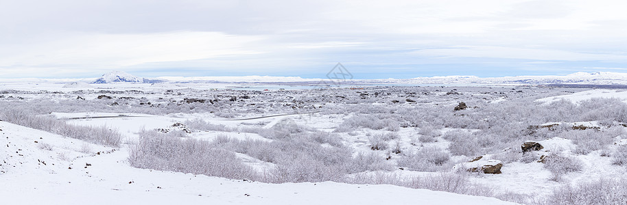 冬季景观全景照片与雪覆盖的树木迪姆堡尔湖Myvatn,冰岛图片