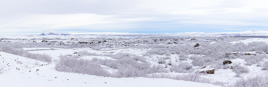 冬季景观全景照片与雪覆盖的树木迪姆堡尔湖Myvatn,冰岛图片