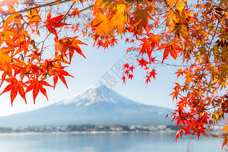 mt富士秋季KawaguchikoKawaguchi湖日本Fujikawaguchiko选择图片