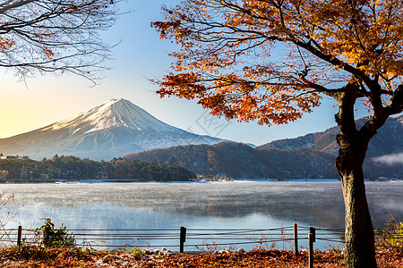 日出山富士秋季KawaguchikoKawaguchi湖日本富士山图片