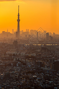 东京城市鸟瞰富士山图片