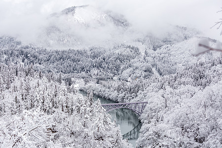 冬天的景观雪覆盖着桥上的火车过河的树木图片