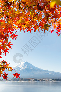 mt富士秋季KawaguchikoKawaguchi湖日本Fujikawaguchiko选择图片